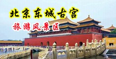 小骚逼,高潮了,出水了,中国北京-东城古宫旅游风景区